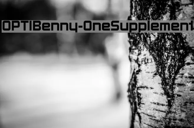 OPTIBenny-OneSupplement Example 2