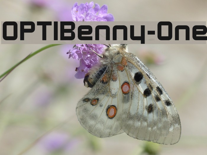OPTIBenny-One Font examples