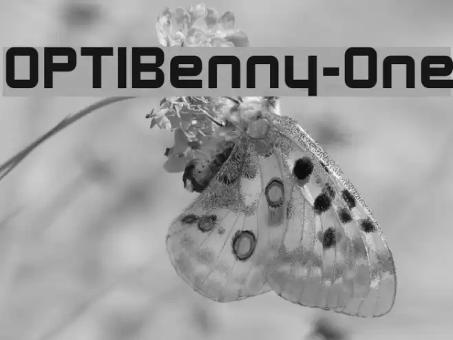 OPTIBenny-One Font examples