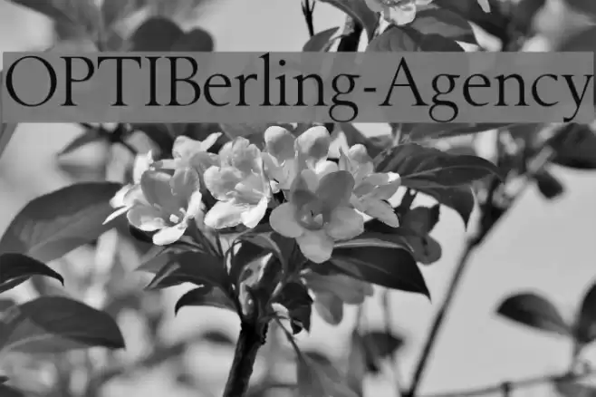 OPTIBerling-Agency Font examples