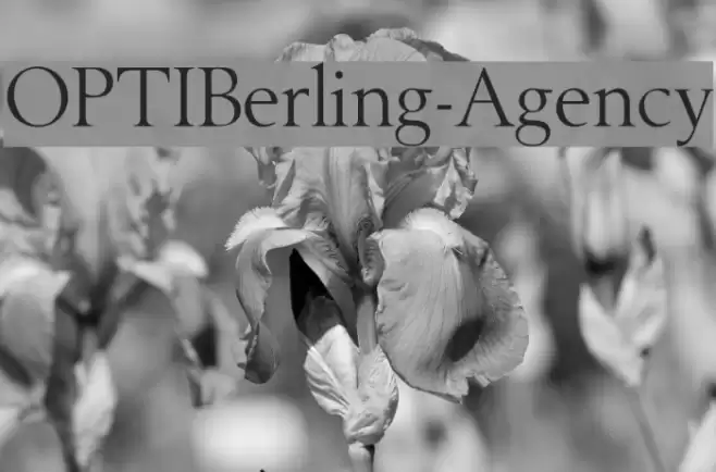 OPTIBerling-Agency Font examples