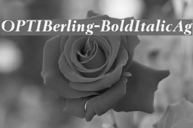 OPTIBerling-BoldItalicAg Font examples