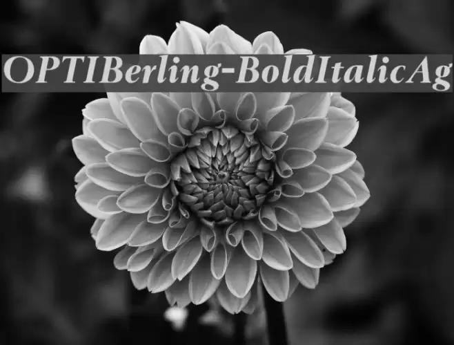 OPTIBerling-BoldItalicAg Font examples