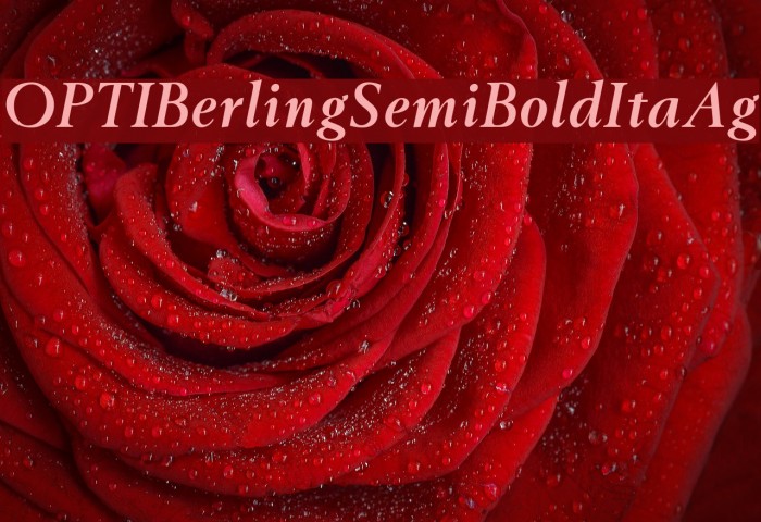 OPTIBerlingSemiBoldItaAg Font examples