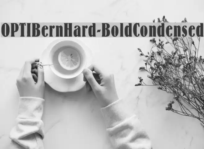 OPTIBernHard-BoldCondensed خط examples