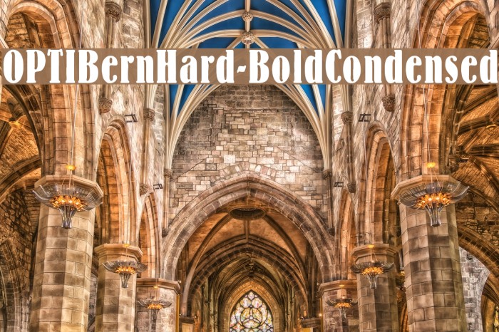 OPTIBernHard-BoldCondensed Font examples