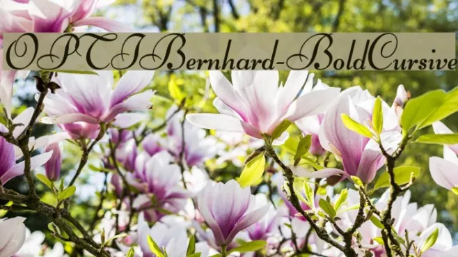 OPTIBernhard-BoldCursive Example 2