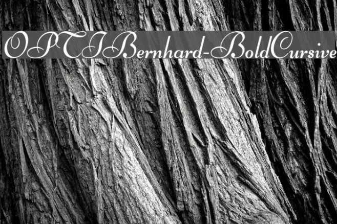 OPTIBernhard-BoldCursive Example 3