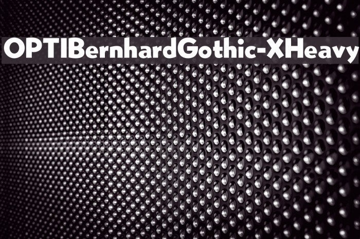 OPTIBernhardGothic-XHeavy Font examples