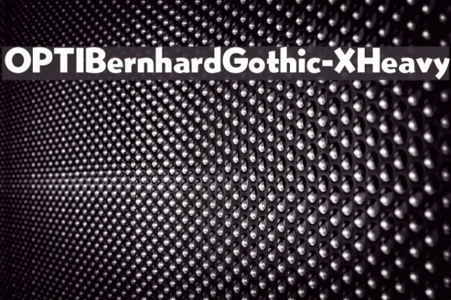 OPTIBernhardGothic-XHeavy Example 2