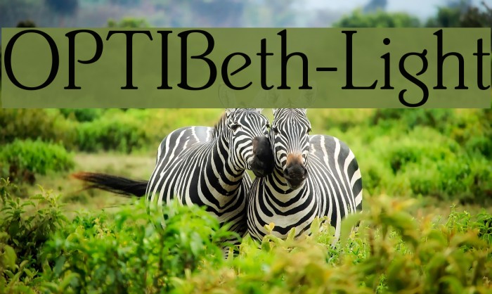 OPTIBeth-Light Font examples