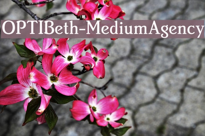 OPTIBeth-MediumAgency Font examples