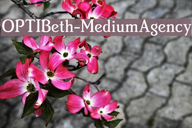 OPTIBeth-MediumAgency Example 1