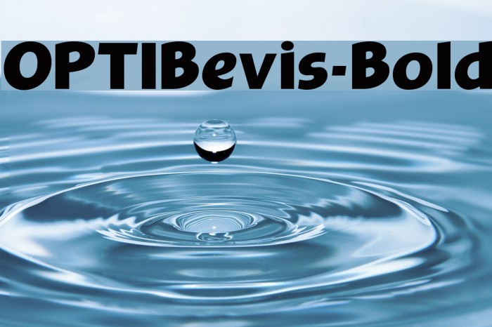 OPTIBevis-Bold Font examples