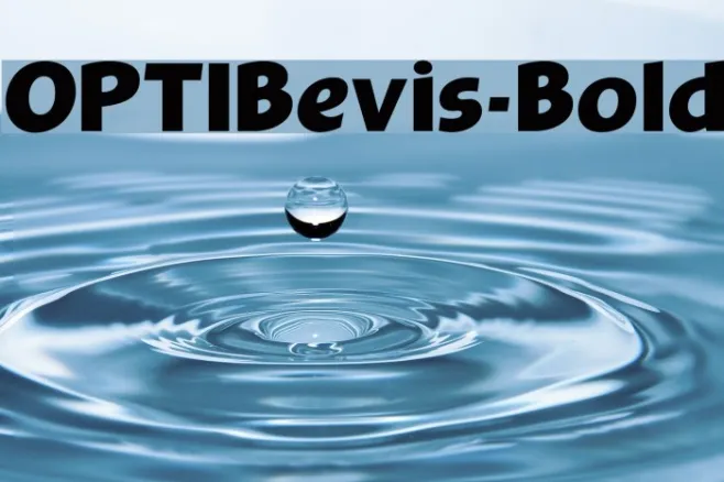 OPTIBevis-Bold Example 2