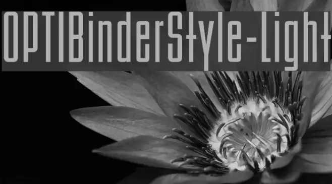 OPTIBinderStyle-Light Font examples
