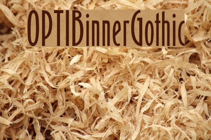 OPTIBinnerGothic Font examples