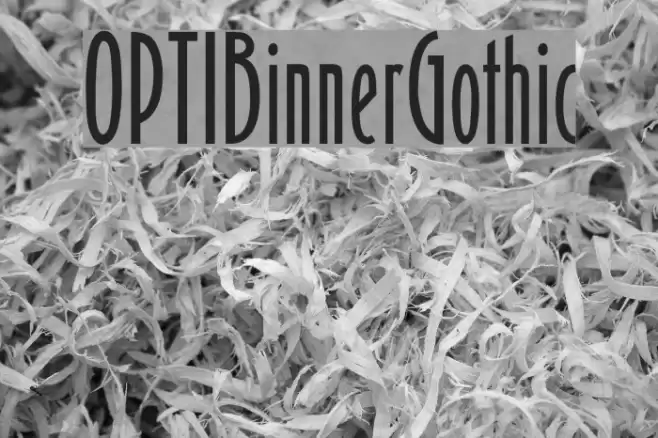 OPTIBinnerGothic Fonte examples