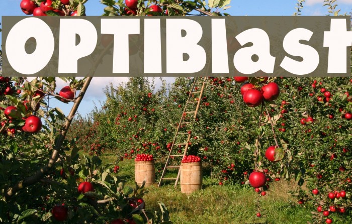 OPTIBlast Font examples