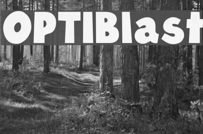 OPTIBlast Font examples