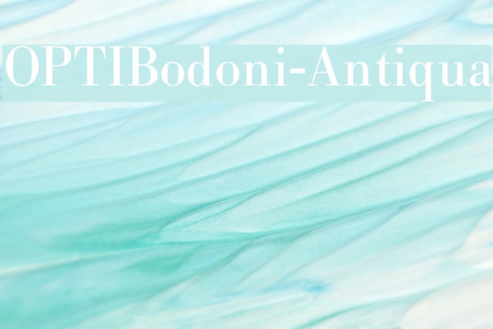OPTIBodoni-Antiqua Schriftart examples
