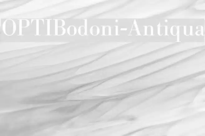 OPTIBodoni-Antiqua Schriftart examples