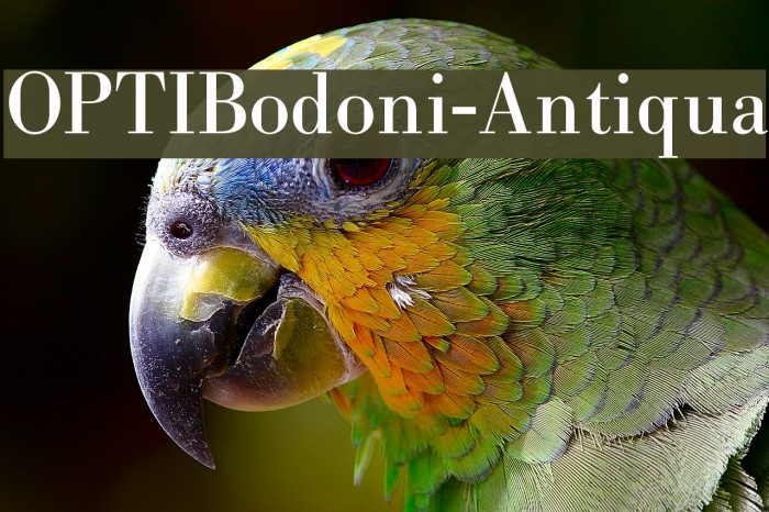 OPTIBodoni-Antiqua Schriftart examples