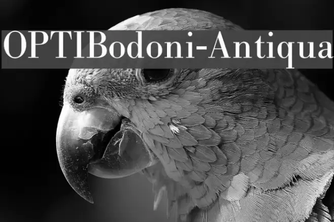 OPTIBodoni-Antiqua Schriftart examples