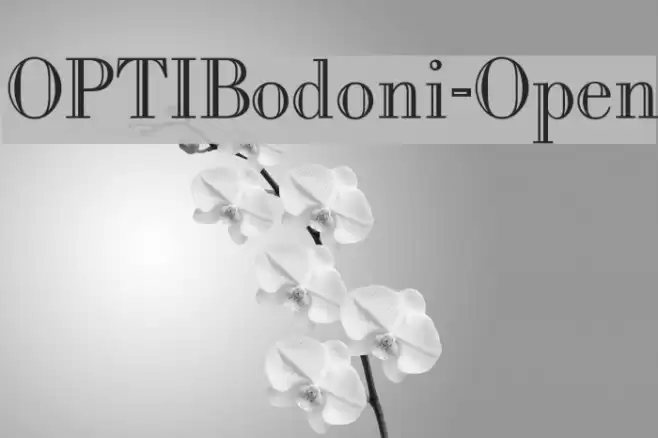 OPTIBodoni-Open Font examples