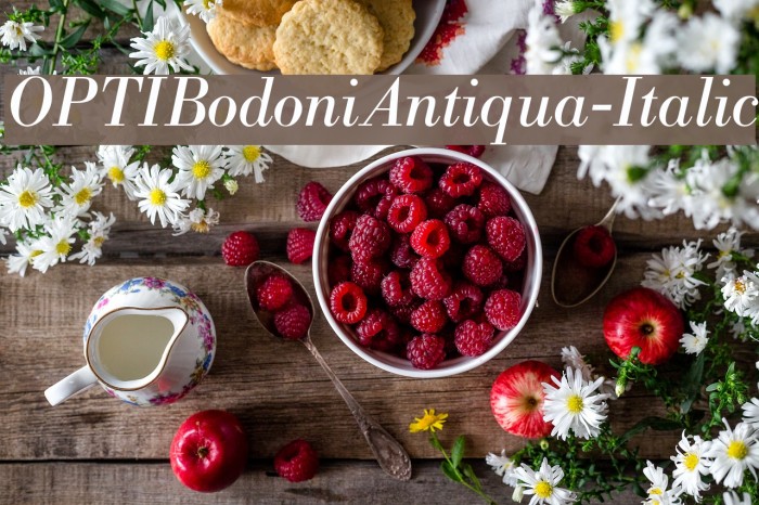 OPTIBodoniAntiqua-Italic Font examples