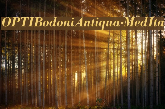 OPTIBodoniAntiqua-MedIta Font examples