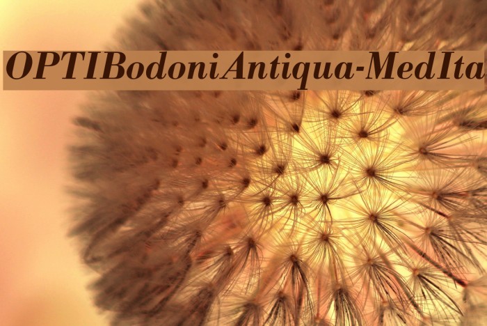 OPTIBodoniAntiqua-MedIta Font examples