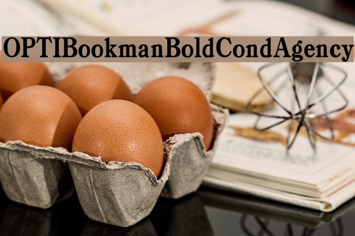 OPTIBookmanBoldCondAgency Font examples