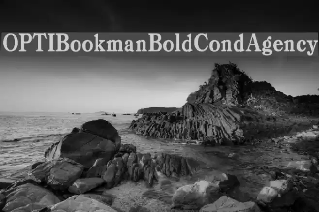 OPTIBookmanBoldCondAgency Font examples