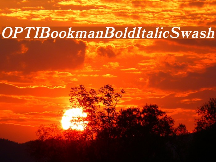 OPTIBookmanBoldItalicSwash Font examples