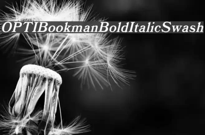 OPTIBookmanBoldItalicSwash Font examples