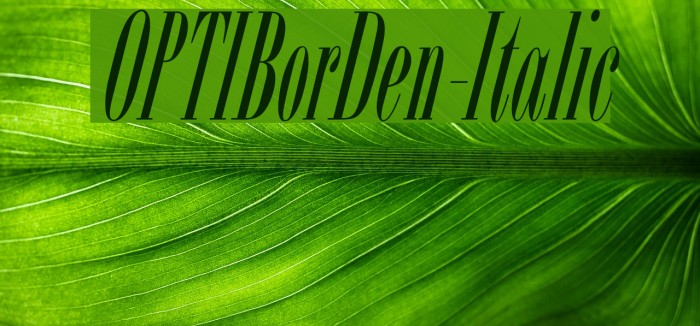 OPTIBorDen-Italic Font examples