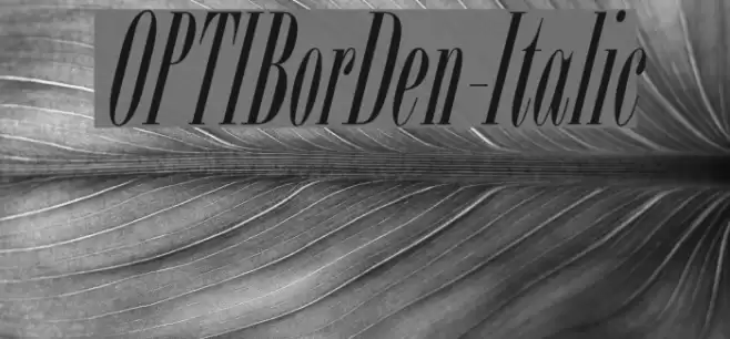 OPTIBorDen-Italic Font examples