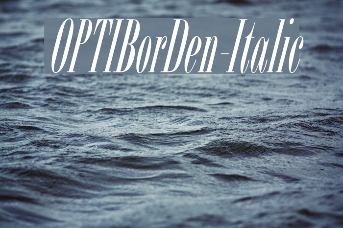 OPTIBorDen-Italic Font examples