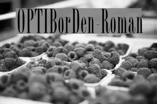 OPTIBorDen-Roman Font examples