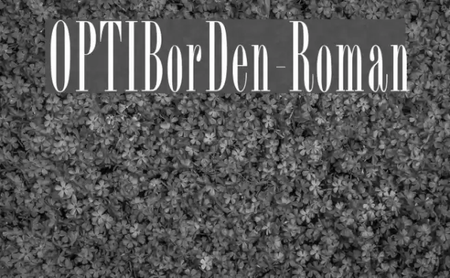 OPTIBorDen-Roman Font examples