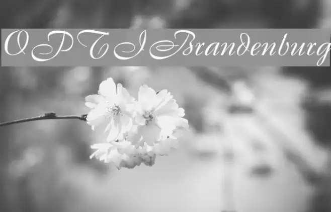 OPTIBrandenburg Font examples
