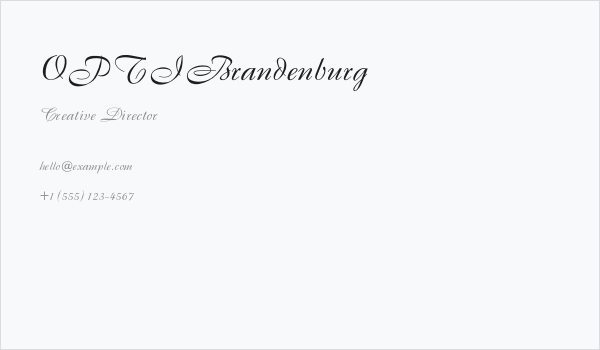 OPTIBrandenburg Business Card
