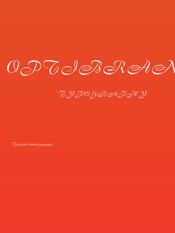 OPTIBrandenburg Poster