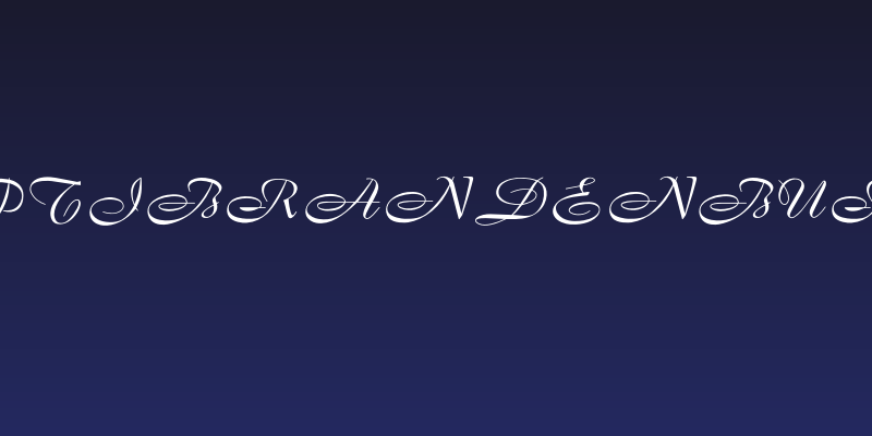 OPTIBrandenburg Social Header