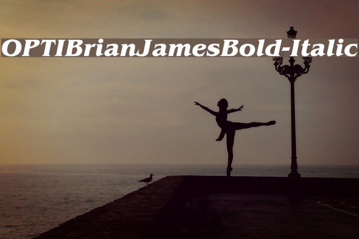 OPTIBrianJamesBold-Italic Polices examples