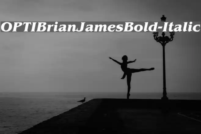 OPTIBrianJamesBold-Italic Polices examples