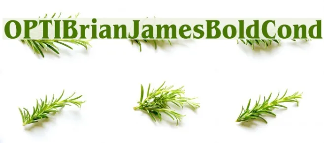 OPTIBrianJamesBoldCond Example 1