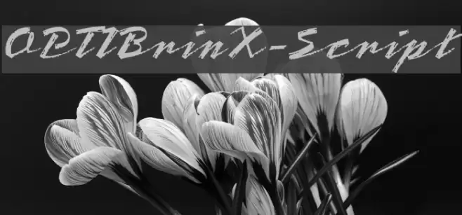 OPTIBrinX-Script Font examples