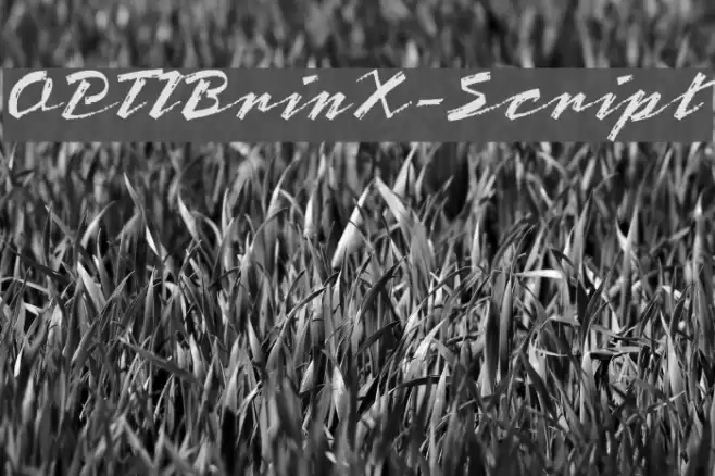 OPTIBrinX-Script Font examples